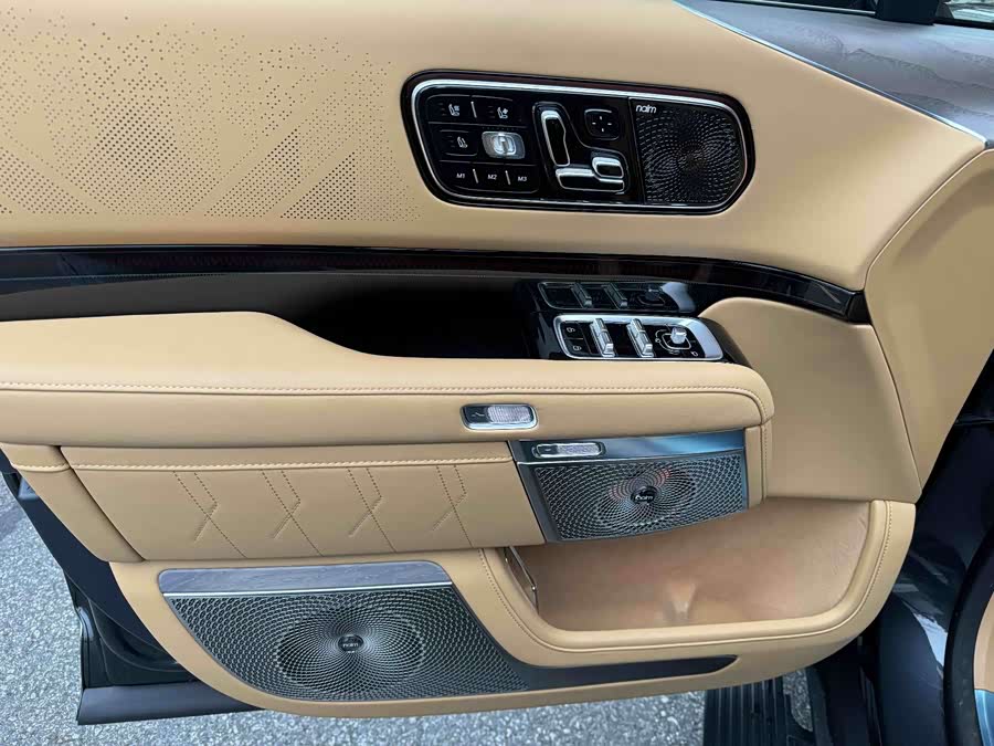 极氪 极氪9X 2025 汽车图片 #18