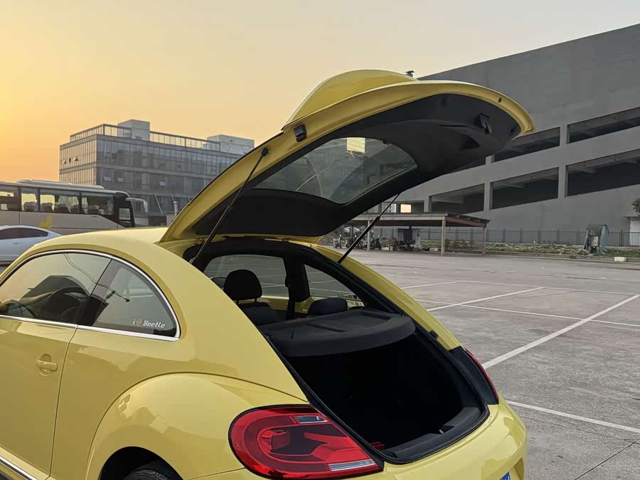Volkswagen Beetle 2013 immagine di auto #18