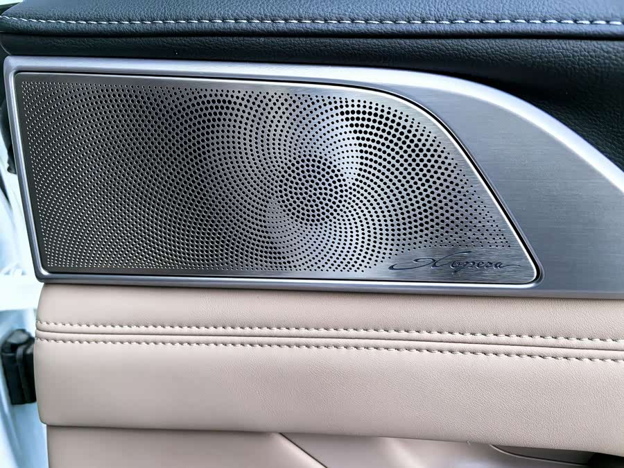 Xpeng G9 2025 صورة سيارة #18