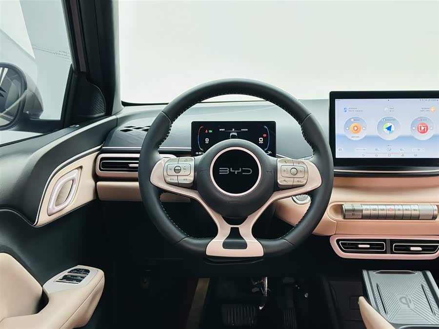 BYD Seagull 2024 car image #18