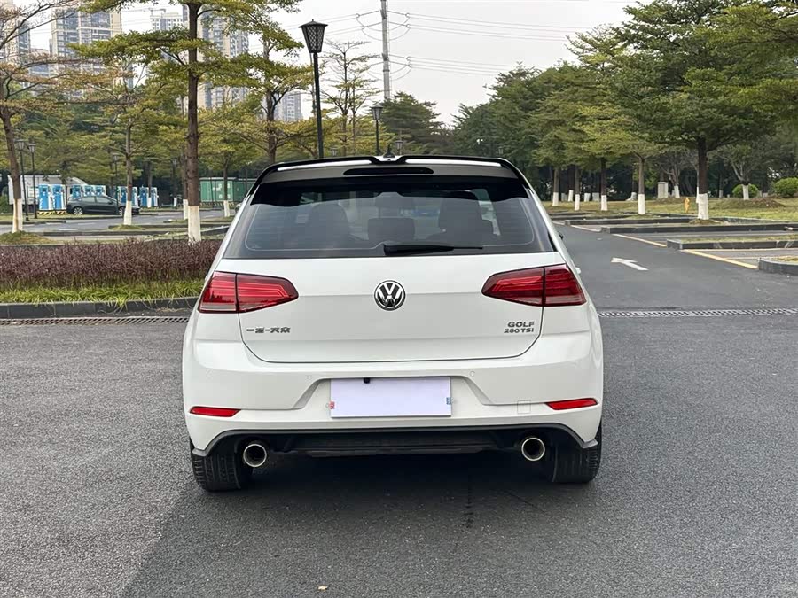 Volkswagen Golf 2019 #18 Volkswagen Golf 2019 car image #18
