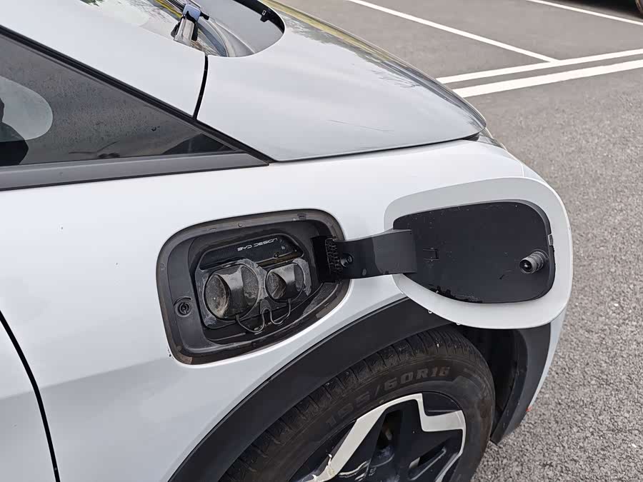 BYD Dolphin 2021 imagen de coche #18