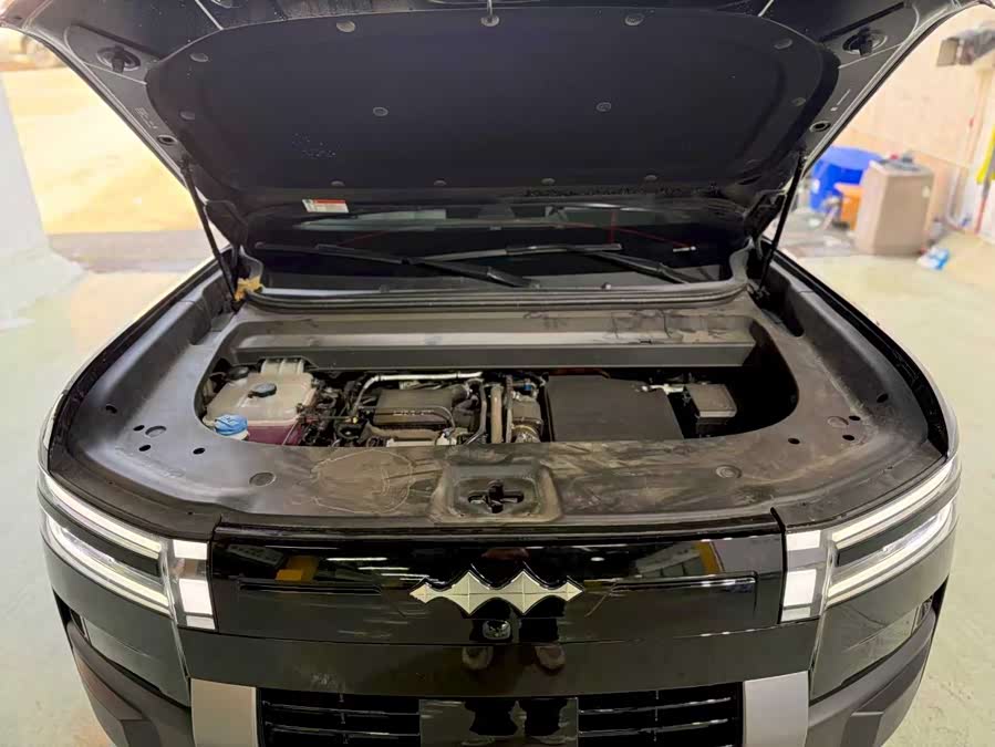 FangChengBao Tiger 7 2025 car image #18