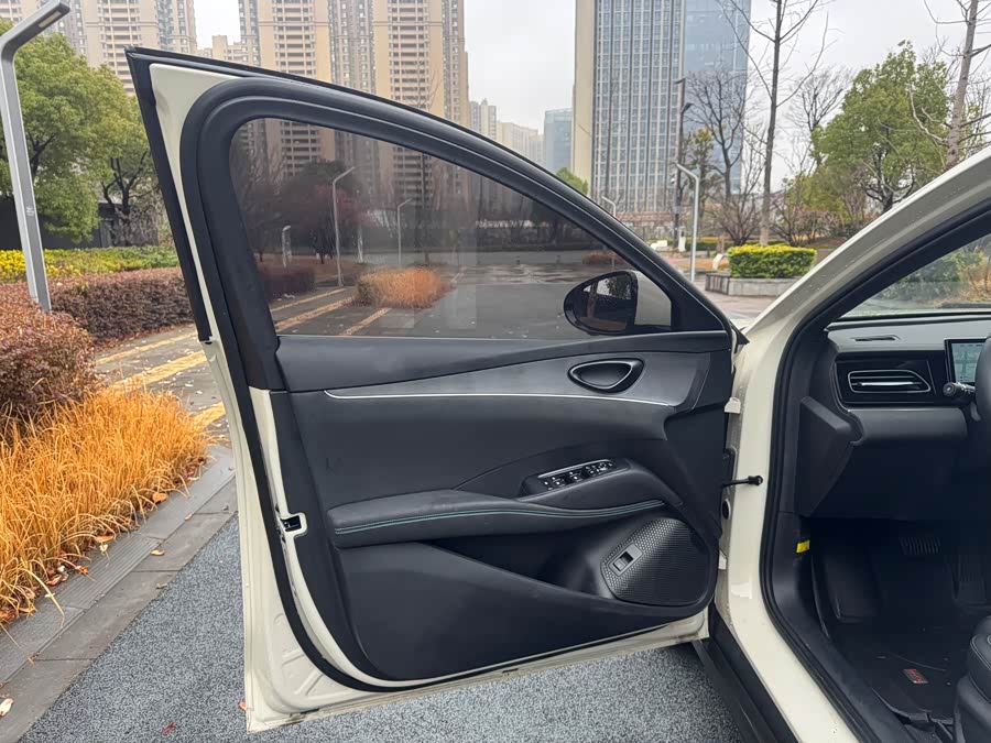 BYD Tang New Energy 2022 car image #18