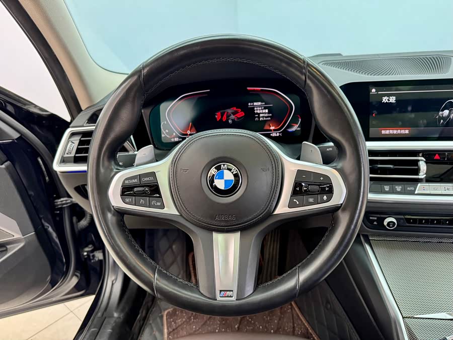 BMW 3 Series 2021 car image #18