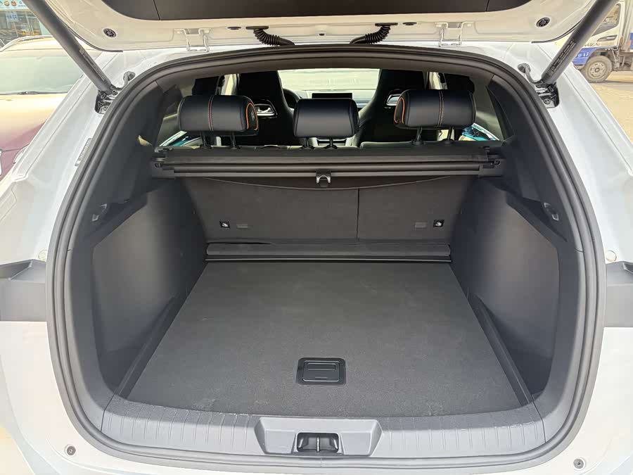 BYD Song Plus New Energy 2024 car image #18