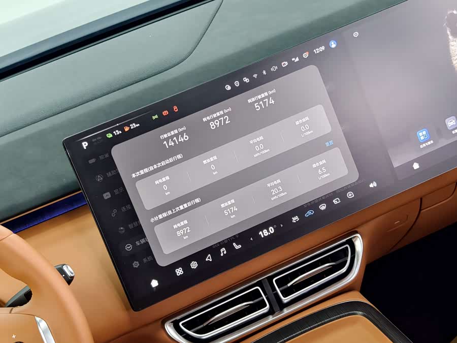 Deepal S09 2025 car image #18