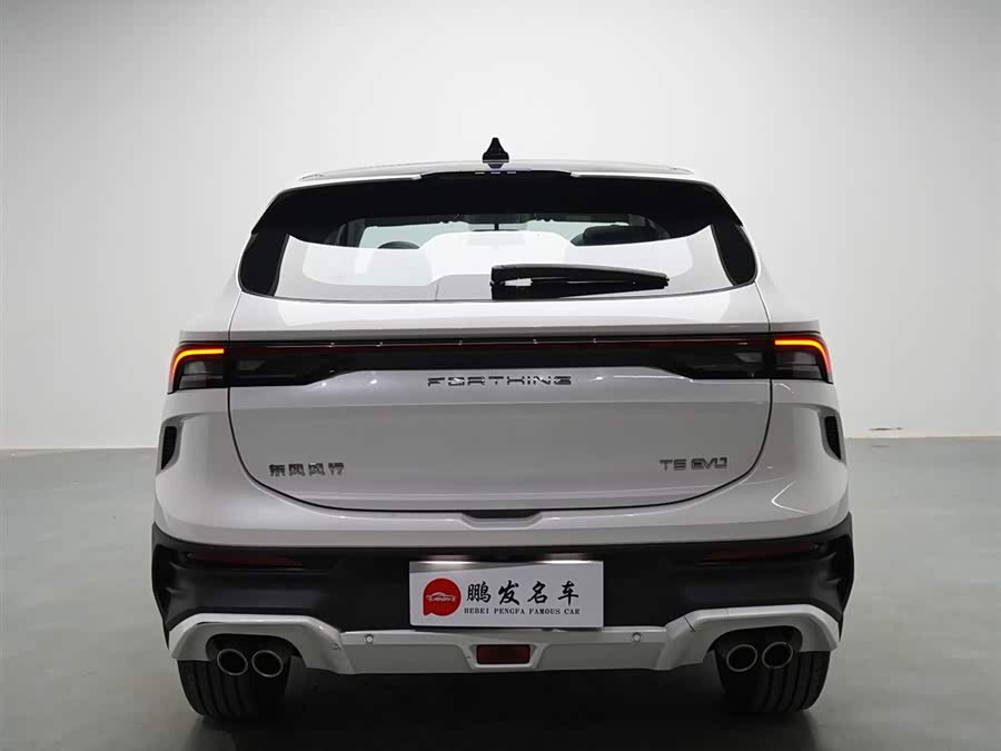 T5 EVO 2024 car image #18