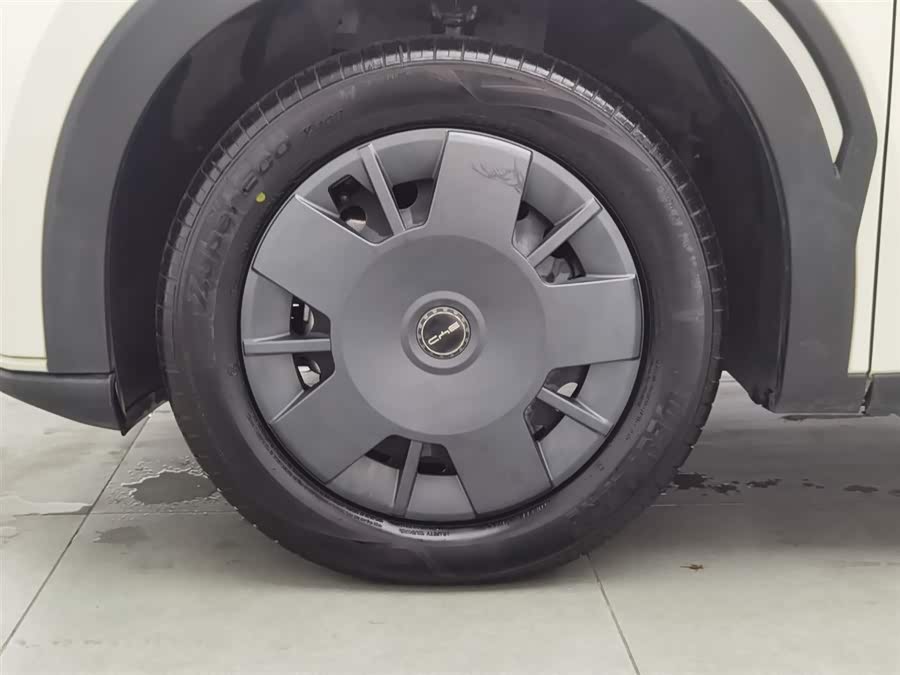 BYD Seagull 2024 immagine di auto #18