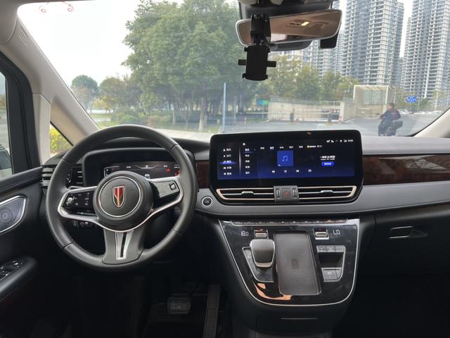 HongQi HQ9 2023 car image #18