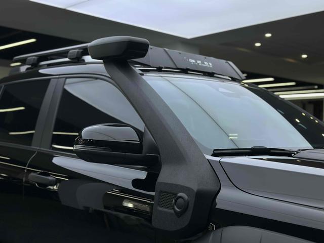 Great Wall Shanhai Pao 2024 car image #18