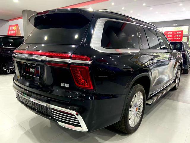 HongQi GuoYao immagine di auto #18