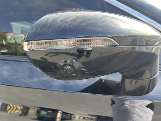 HongQi HS7 PHEV 2025 car image #18