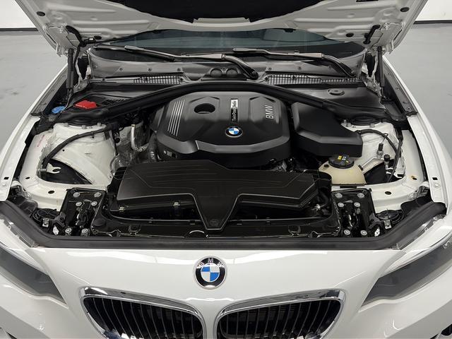 BMW 2 Series (Imported) 2017 car image #18