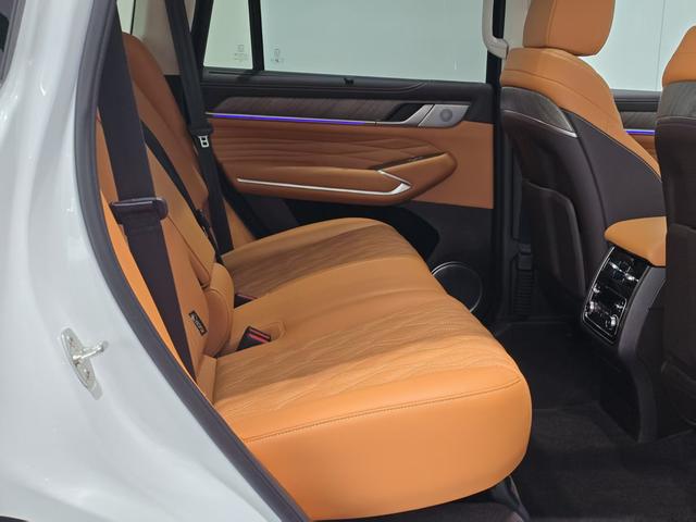 Tank 500 2024 car image #18