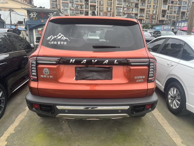 Haval X Dog / Dargo 2020 immagine di auto #18