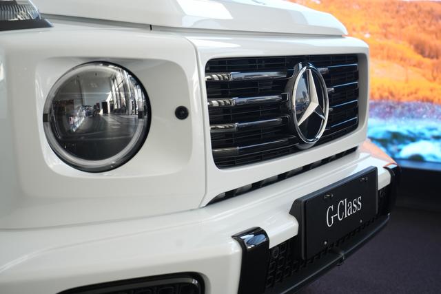 Mercedes-Benz G Class New Energy صورة سيارة #18