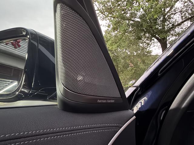 BMW X7 M60i 2022 car image #18