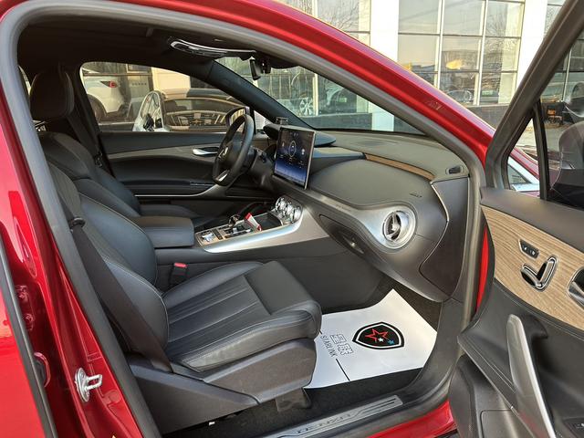 Denza X 2020 car image #18