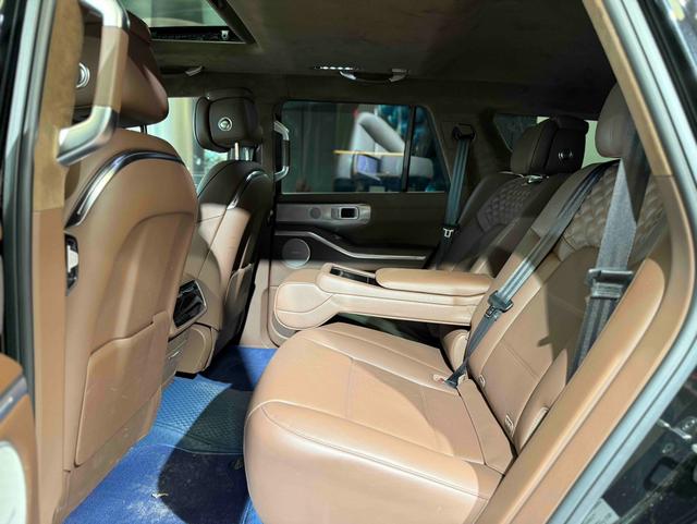 Tank 700 New Energy 2024 immagine di auto #18