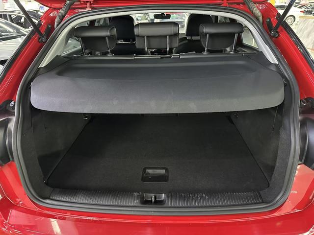 Audi Q2L e-tron 2020 car image #18