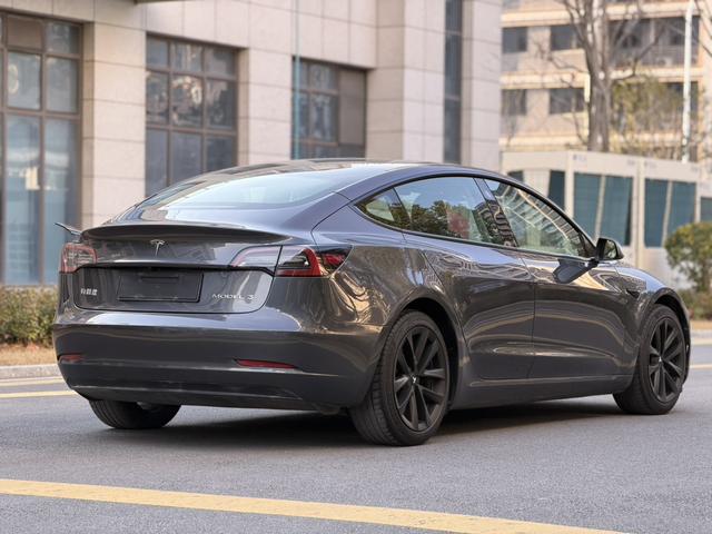 Tesla Model 3 2020 car image #18