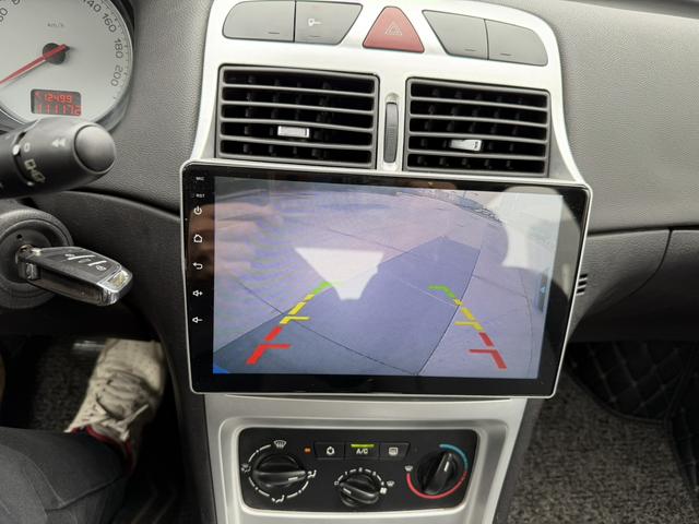 标致 标致307 2009 汽车图片 #18