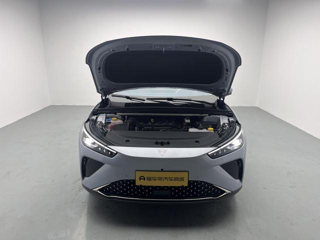 Neta L 2025 imagen de coche #18