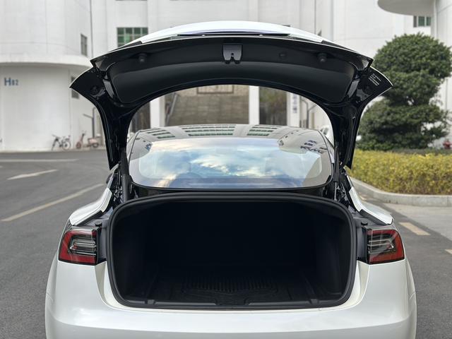 Tesla Model 3 2022 car image #18