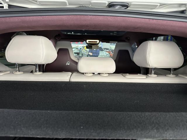 极氪 极氪X 2023 汽车图片 #18