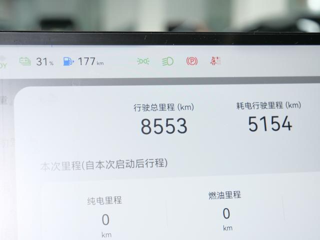 Deepal S09 2025 car image #18