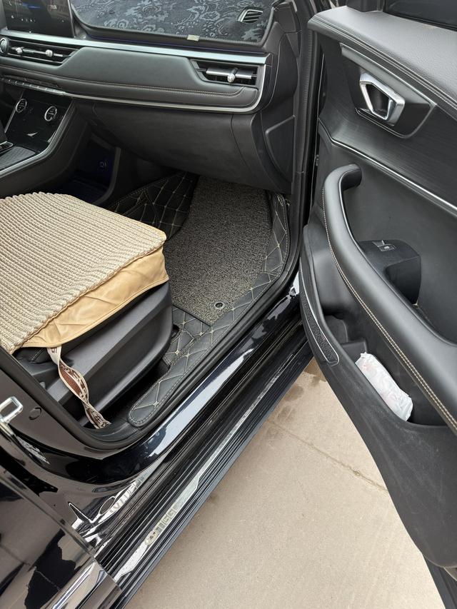 Chery Tiggo 8 2020 image de voiture #18