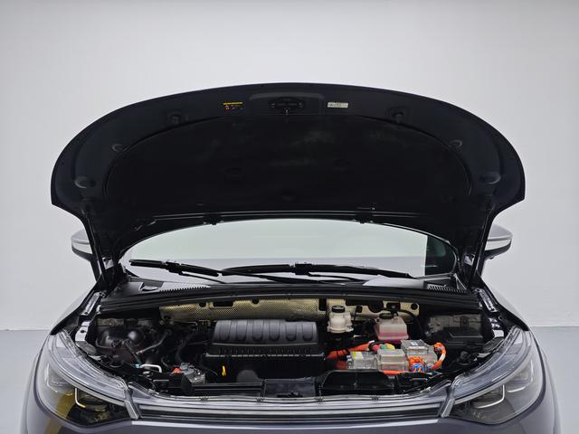 Denza 2021 imagem de carro #18