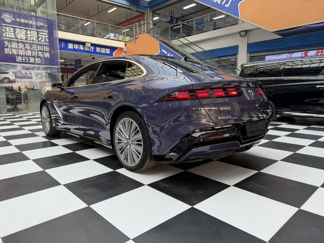 Denza 2024 imagem de carro #18