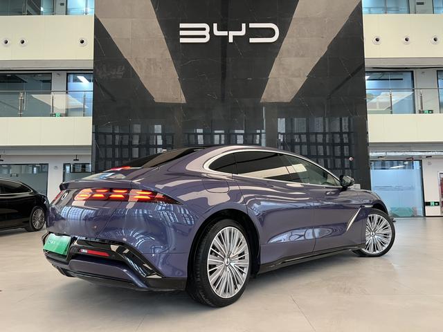 Denza 2024 immagine di auto #18