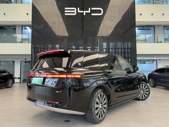 Denza 2025 imagem de carro #18