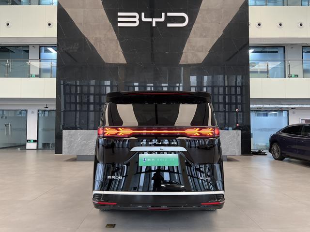 腾势 腾势D9 2024 汽车图片 #18