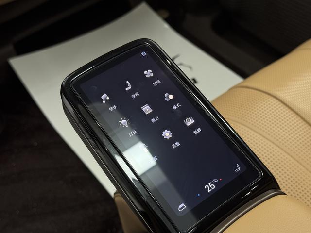 Denza D9 2023 image de voiture #18