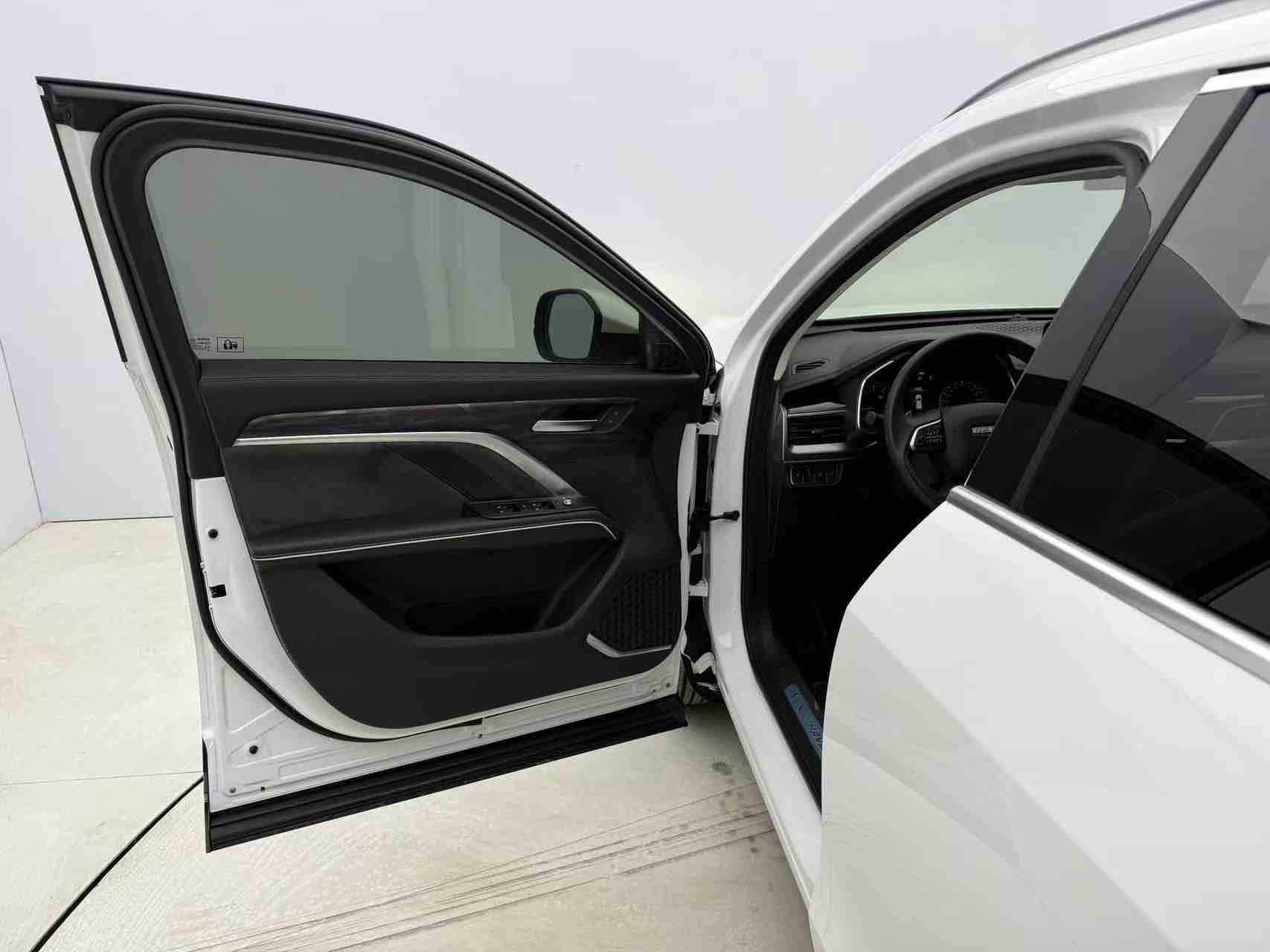 Haval H6 2021 #18 Haval H6 2021 car image #18