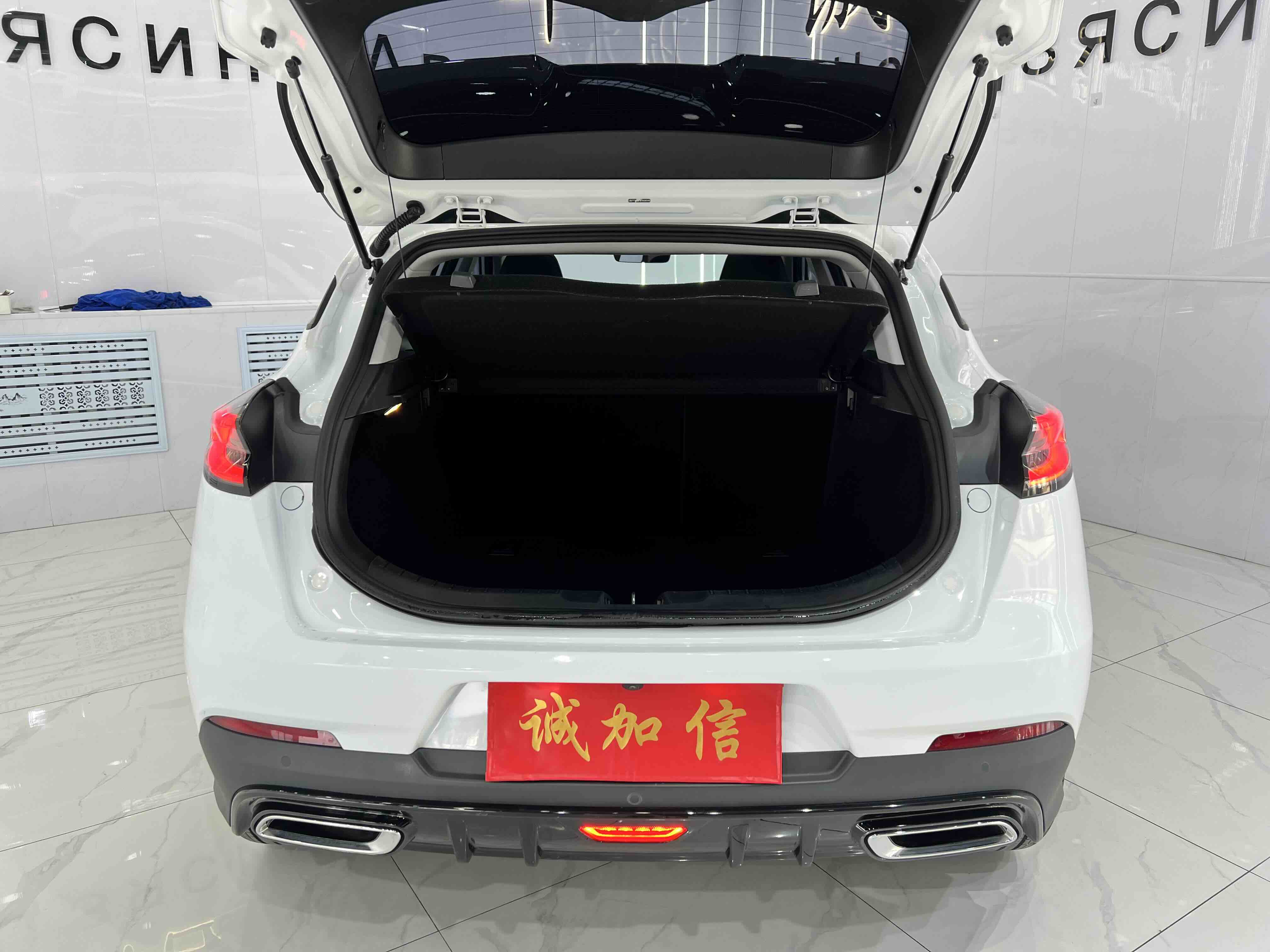 Emgrand S 2021 car image #18