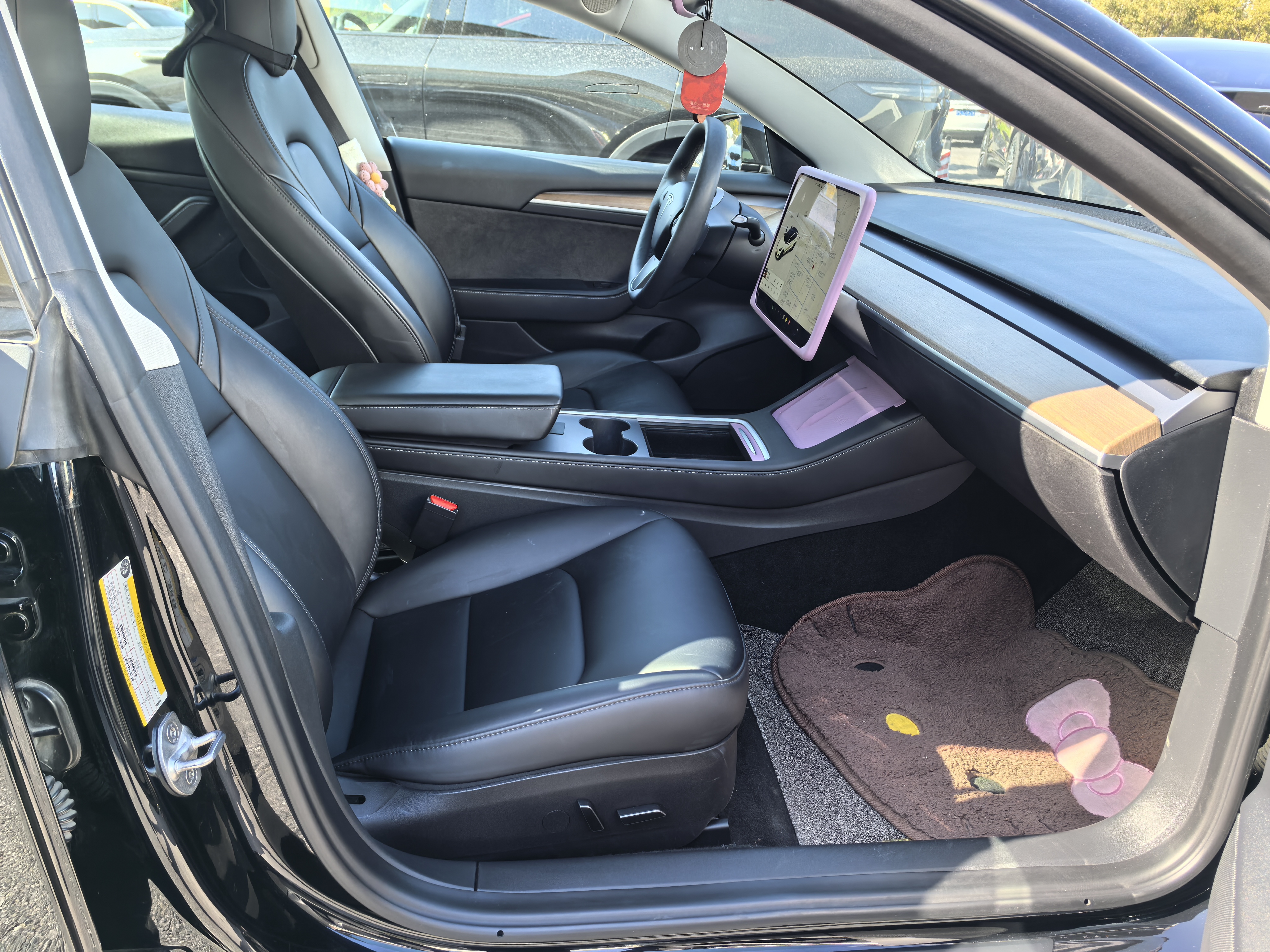 Tesla Model 3 2022 immagine di auto #18
