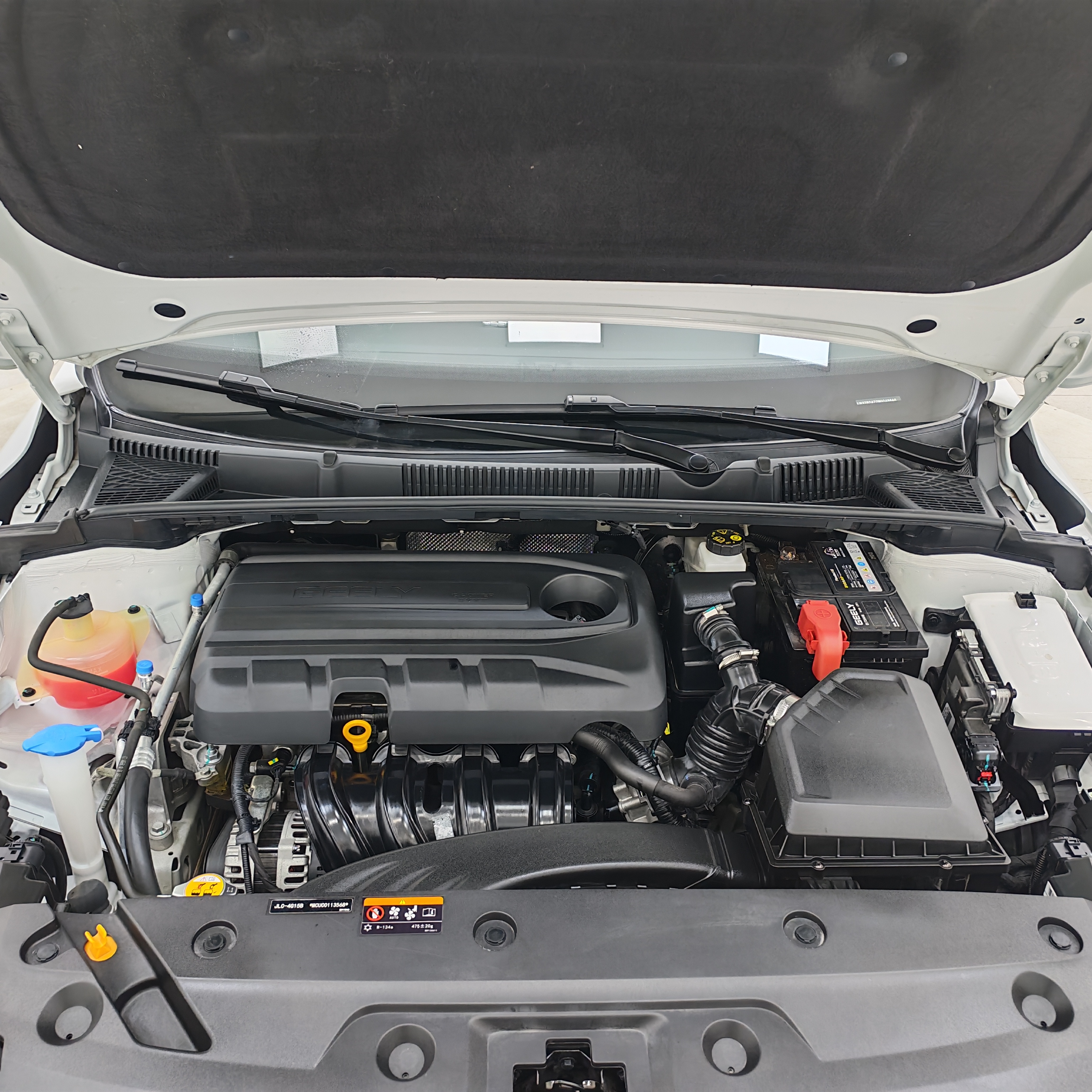 Emgrand 2021 car image #18