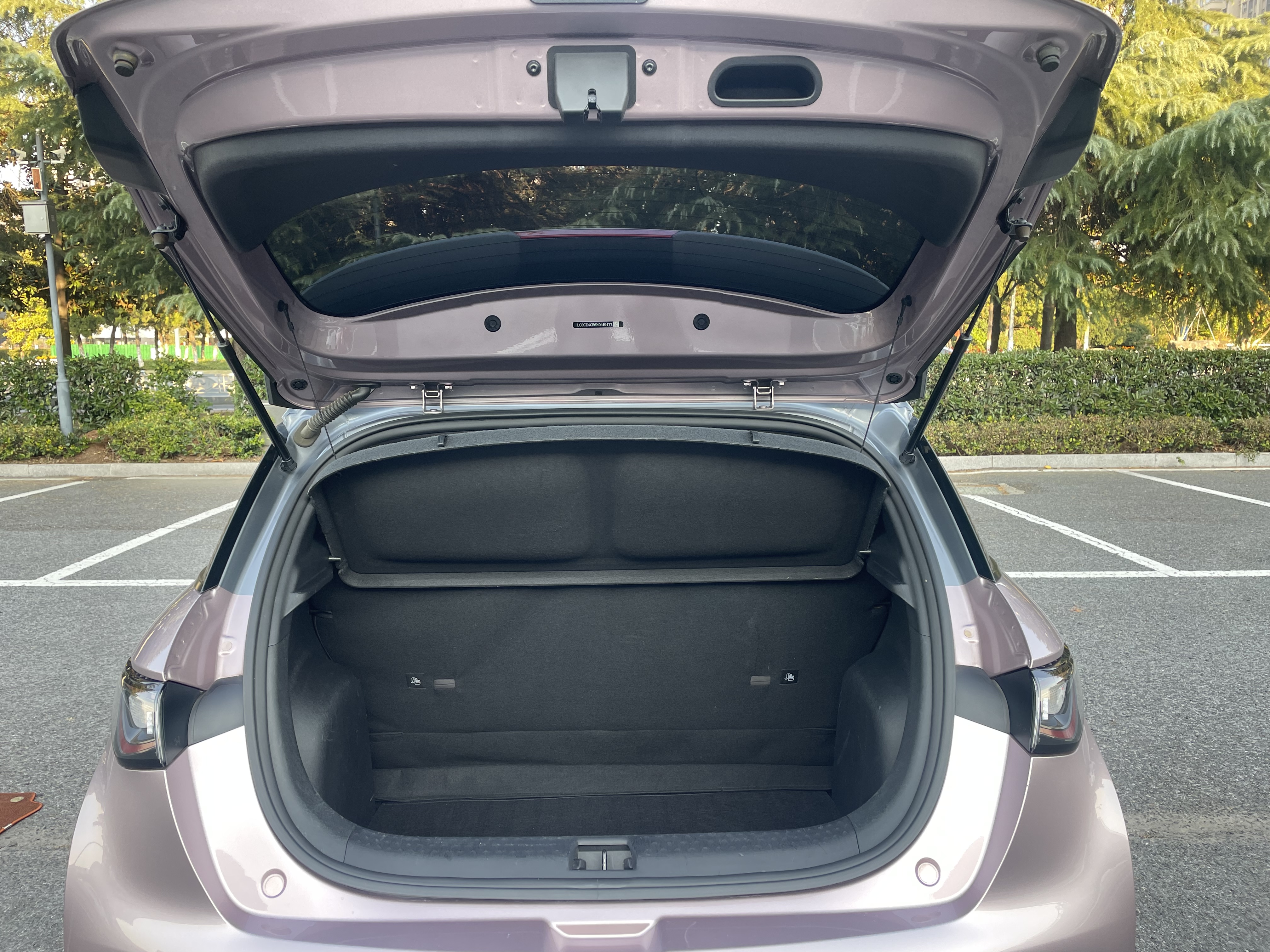 BYD Dolphin 2023 صورة سيارة #18