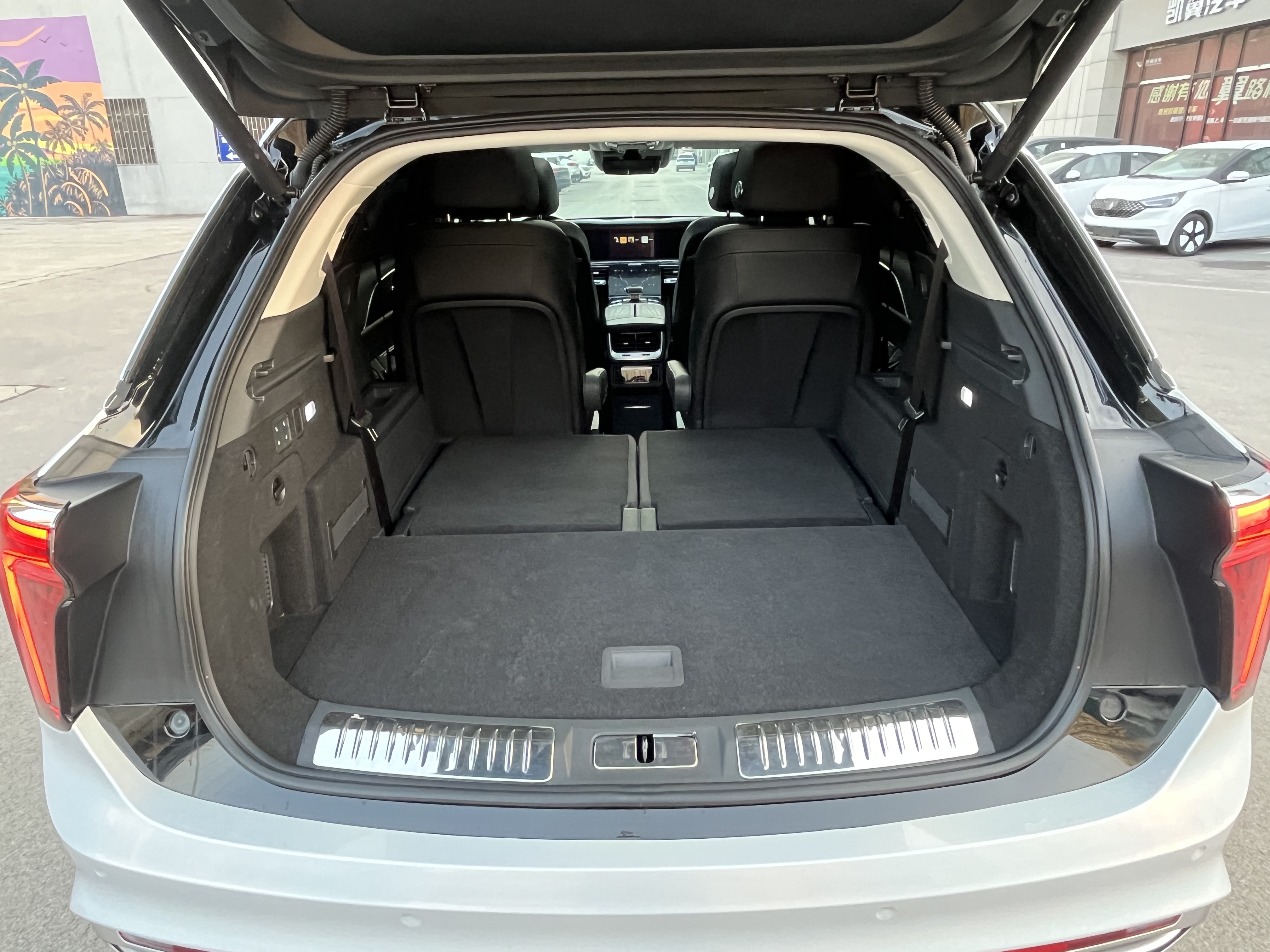 HongQi E-HS9 2023 car image #18