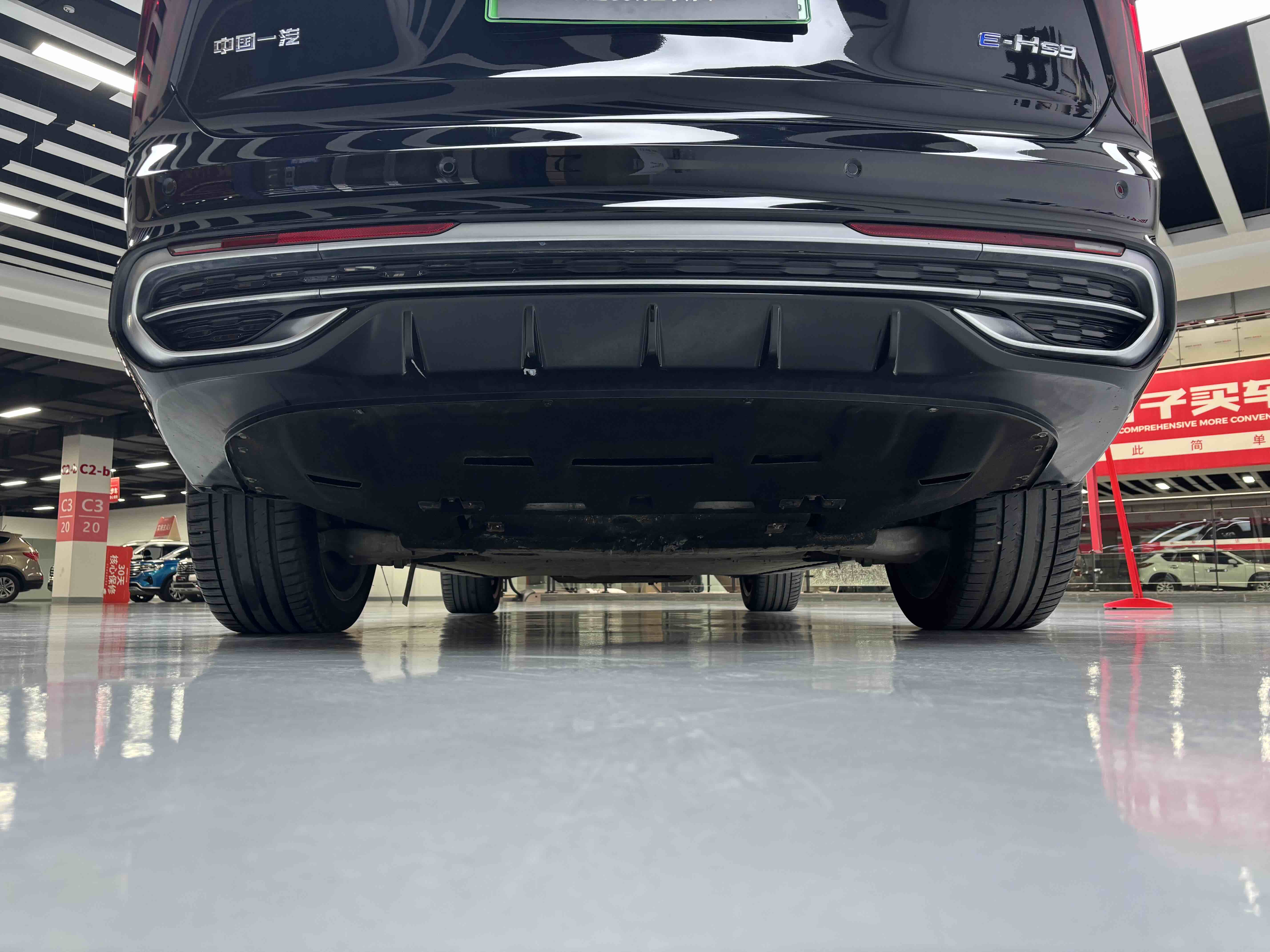 HongQi E-HS9 2023 imagem de carro #18