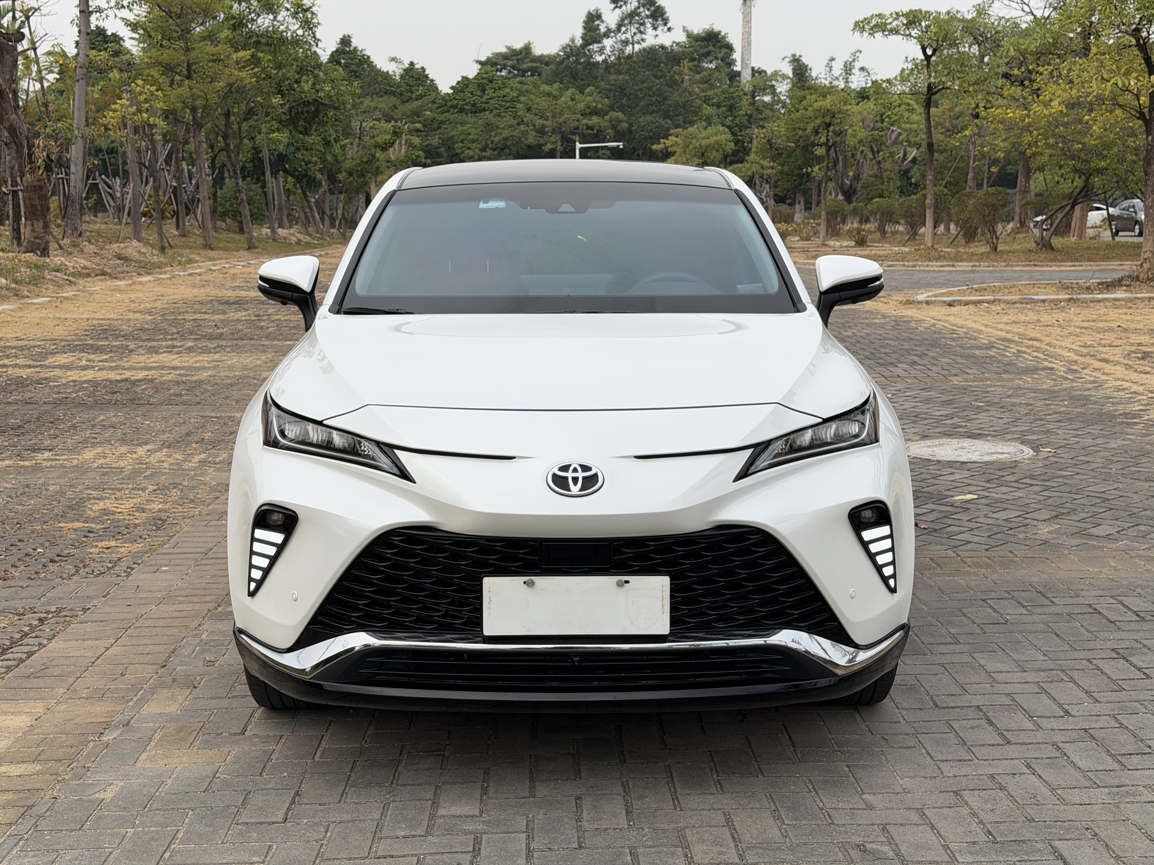 Toyota Venza 2023 immagine di auto #18