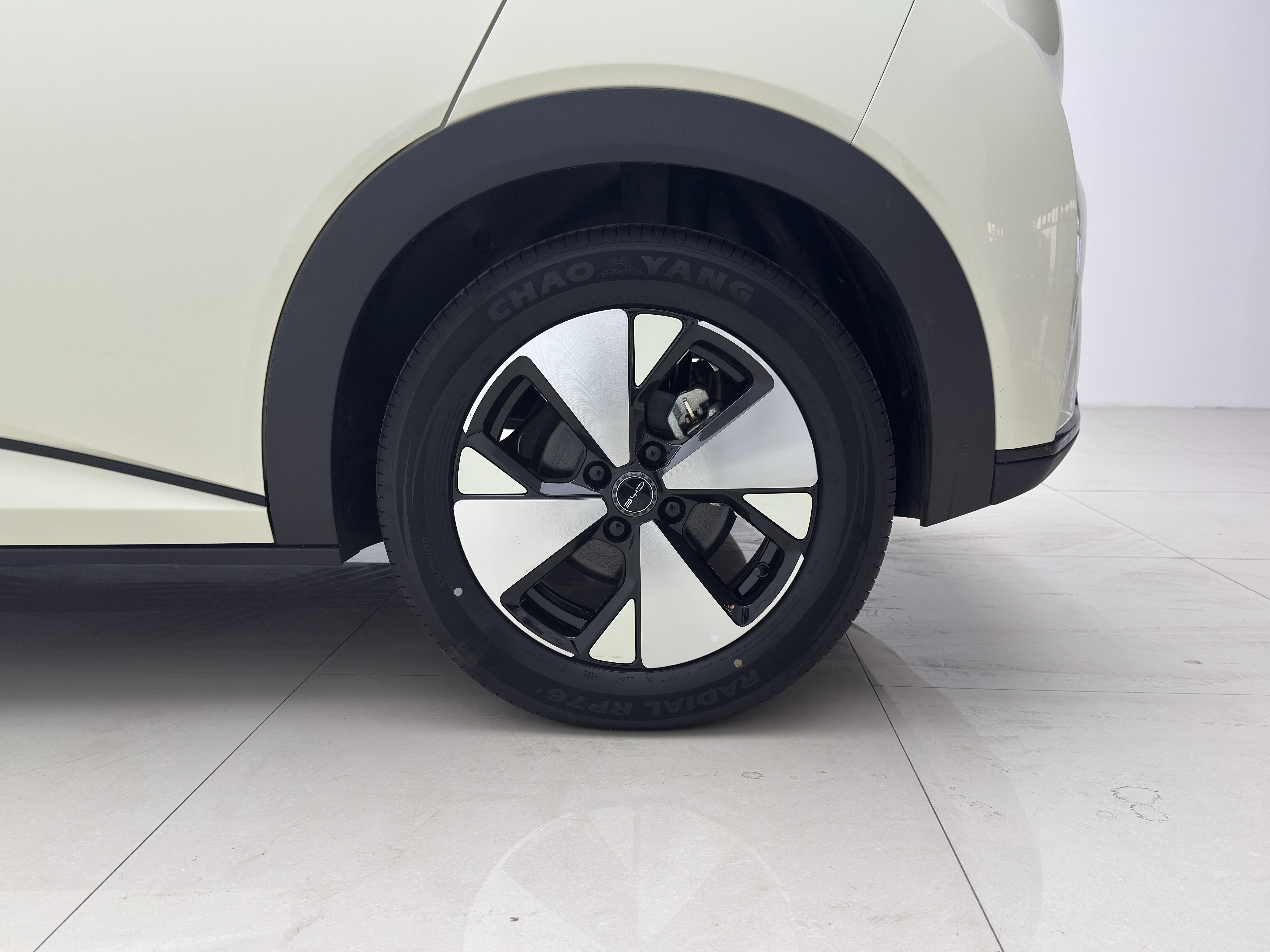 BYD Dolphin 2024 car image #18