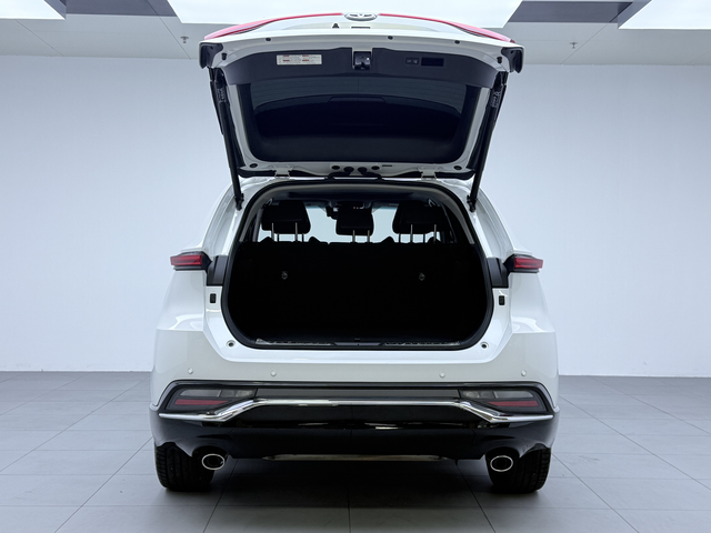 Toyota Venza 2024 car image #18