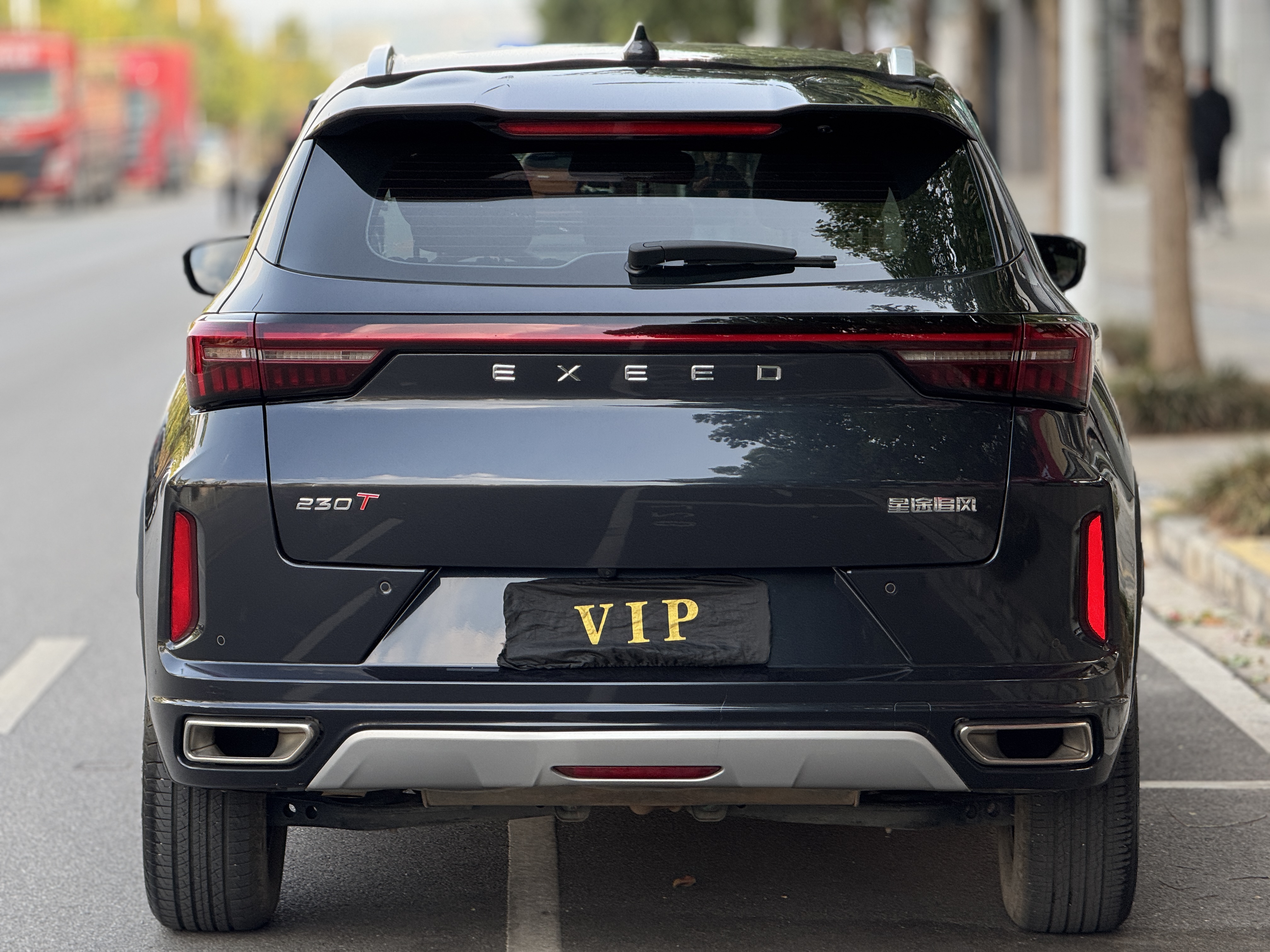 Exceed Chasing Wind 2024 car image #18