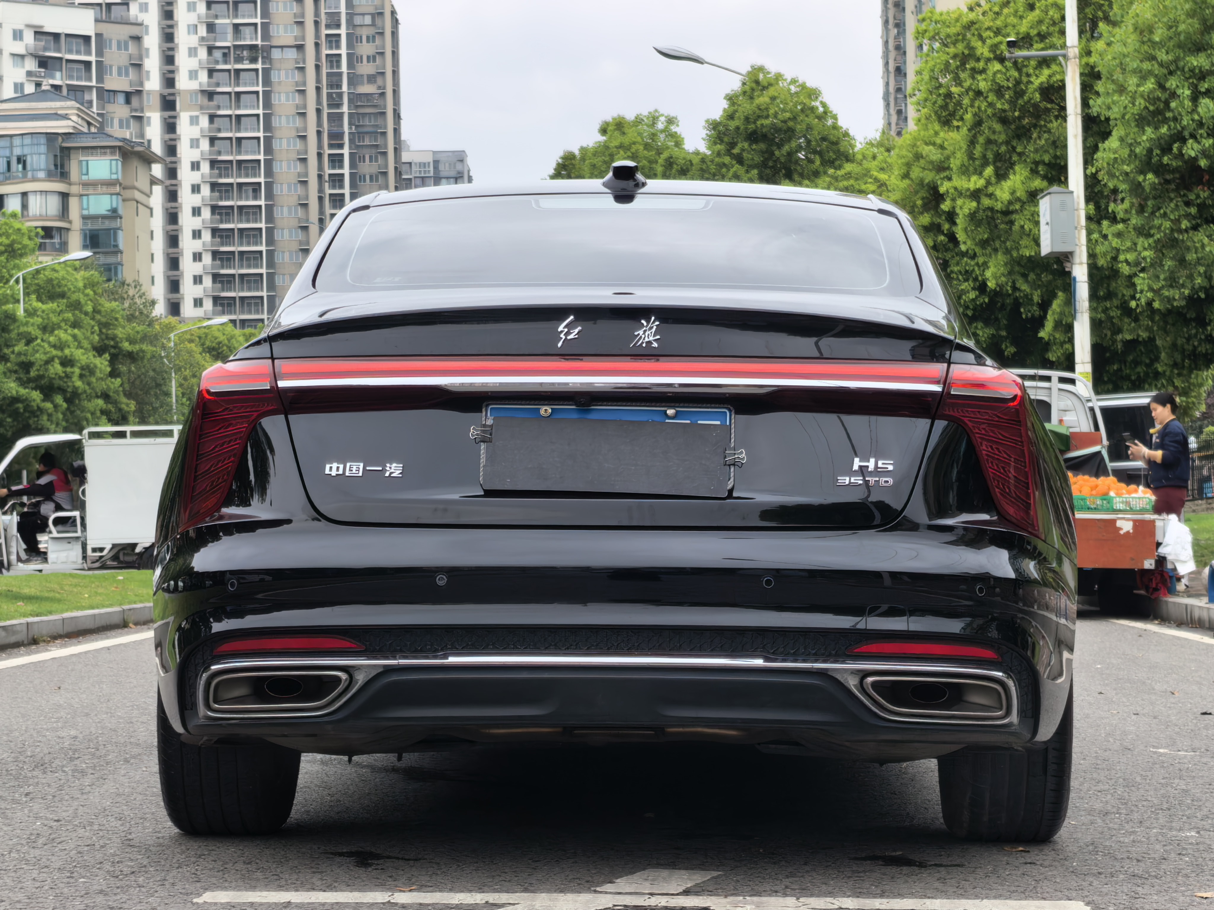 HongQi H5 2024 immagine di auto #18